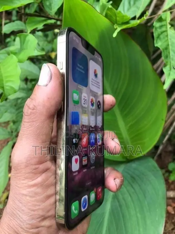 Apple iPhone 13 Pro (Used)