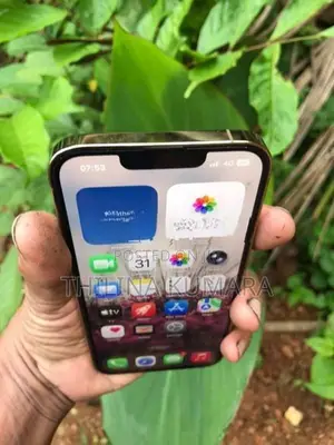 Apple iPhone 13 Pro (Used)