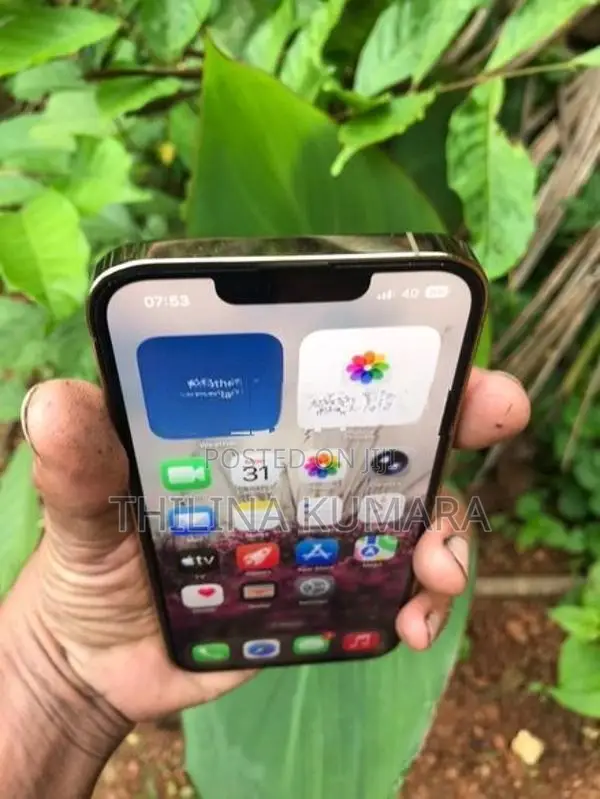 Apple iPhone 13 Pro (Used)