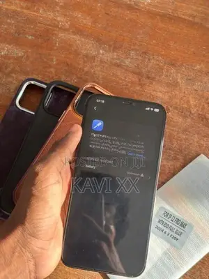 Apple iPhone 12 Pro Max 256 GB (Used)