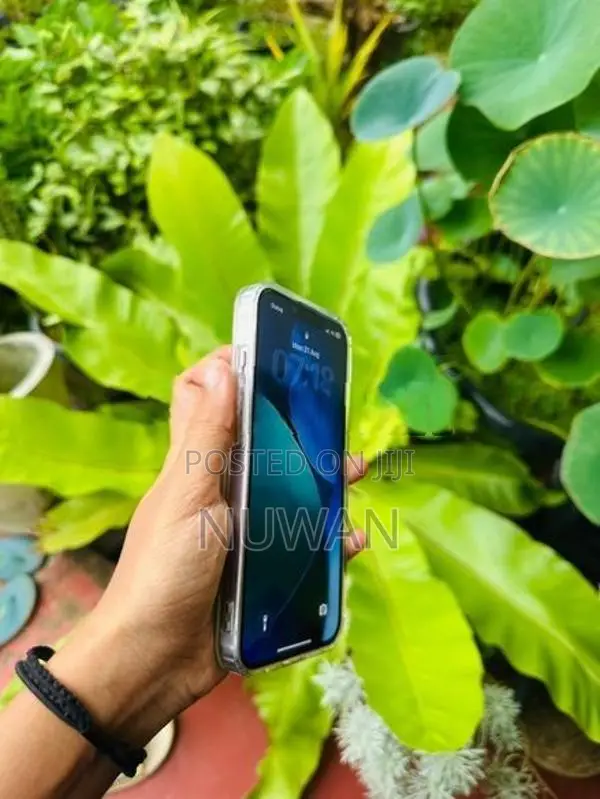 Apple iPhone 14 (Used)