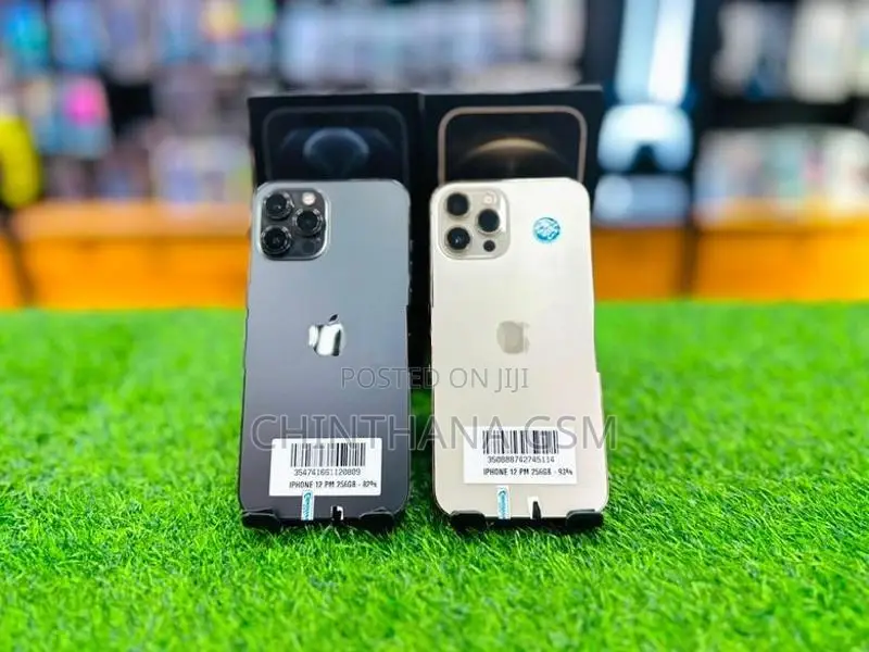 Apple iPhone 12 Pro Max 256GB (Used)