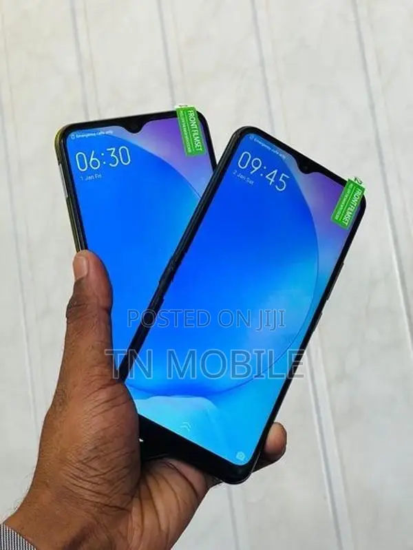 Vivo Y17 256GB (Used)
