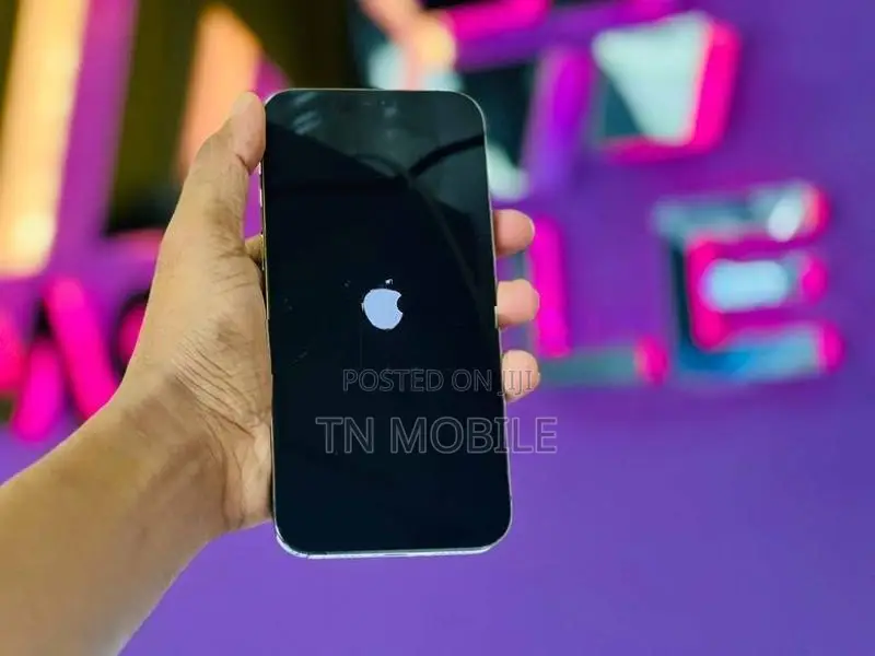 Apple iPhone 12 Pro Max 256GB (Used)