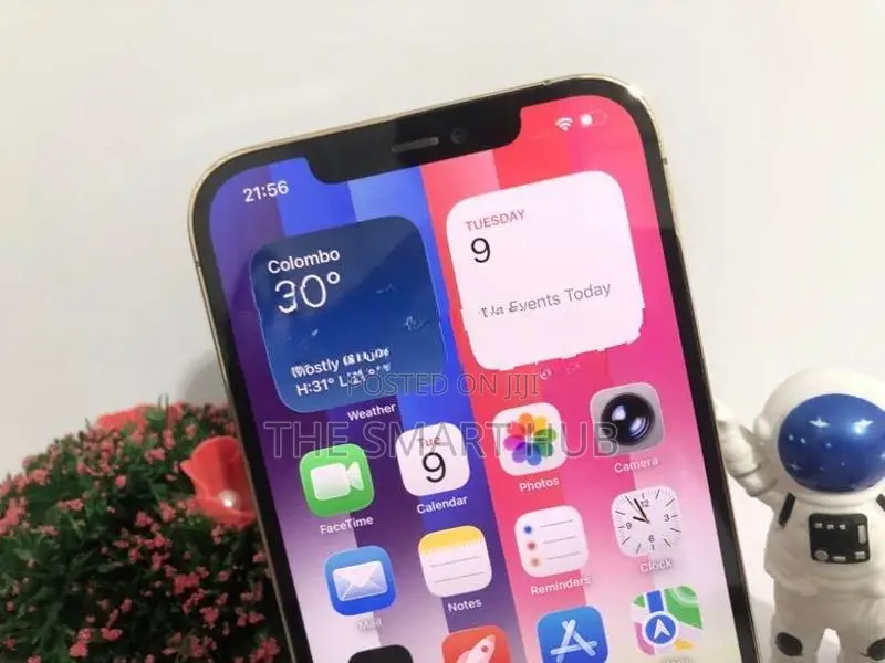 Apple iPhone 12 Pro Max 512GB (Used)