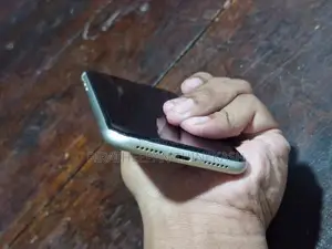 Apple iPhone 11 All Clean (Used)