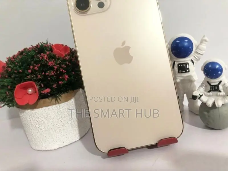 Apple iPhone 12 Pro Max 512GB (Used)