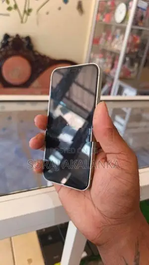 Apple iPhone 12 mini (Used)