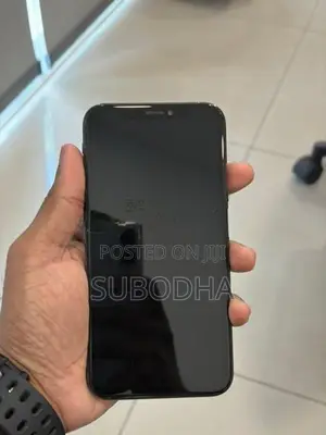 Apple iPhone XS 256GB (Used)
