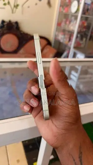 Apple iPhone 12 mini (Used)