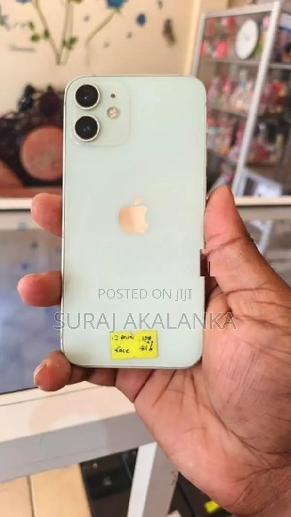 Apple iPhone 12 mini (Used)