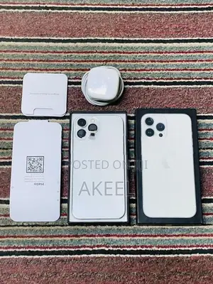 Apple iPhone 13 Pro Max (Used)