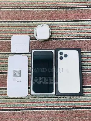 Apple iPhone 13 Pro Max (Used)