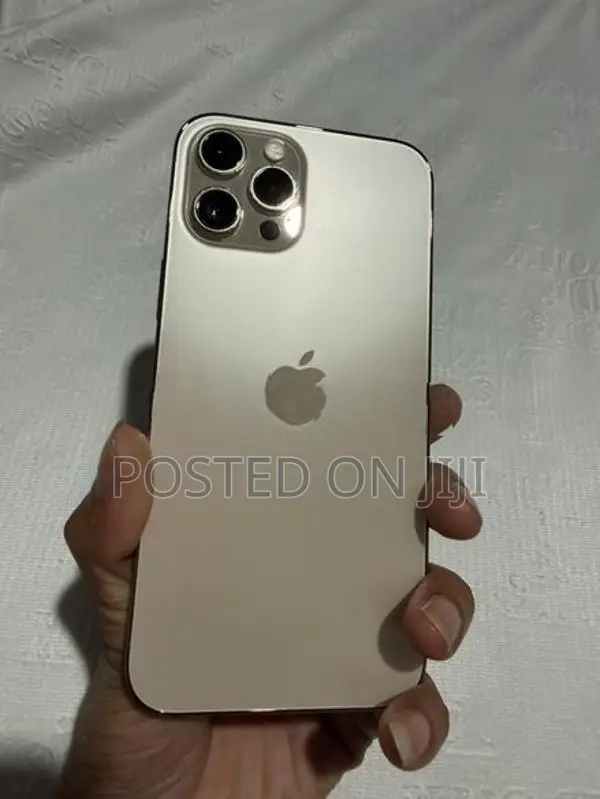 Apple iPhone 12 Pro Max 256GB (Used)