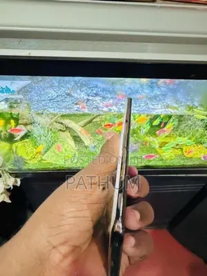 Vivo V40e (Used)