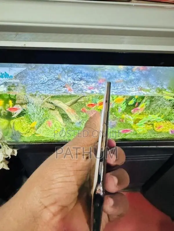 Vivo V40e (Used)