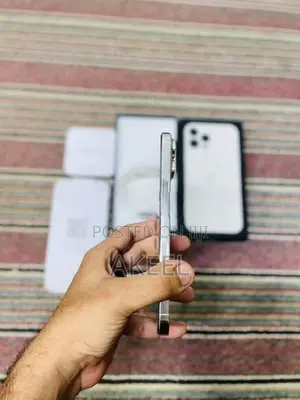 Apple iPhone 13 Pro Max (Used)
