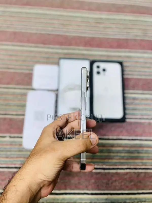 Apple iPhone 13 Pro Max (Used)