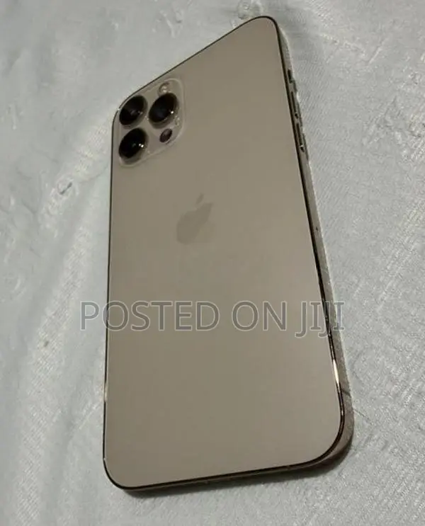 Apple iPhone 12 Pro Max 256GB (Used)
