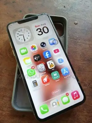 Apple iPhone 11 Pro Max (Used)
