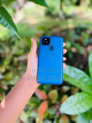 Google Pixel 5 (Used)