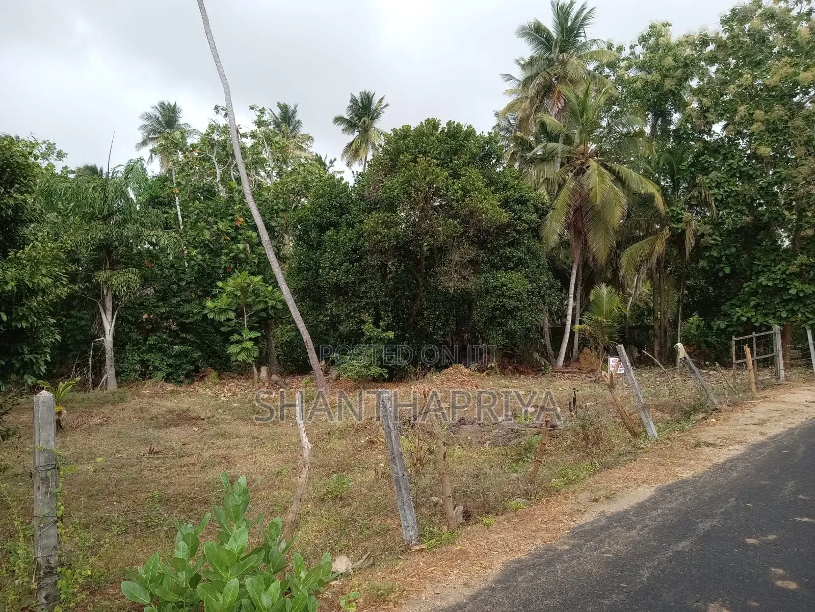 Land Fore Sell