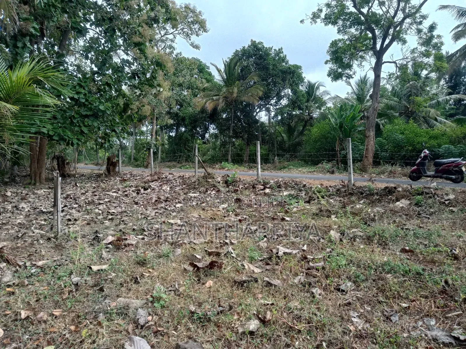 Land Fore Sell