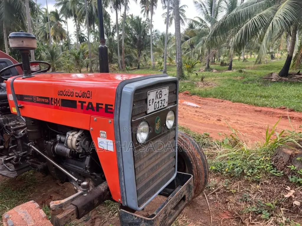 TAFE 45DI 2008 Tractor (Used)