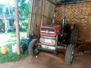 Massey-Ferguson 135 2026 Tractor (Used)