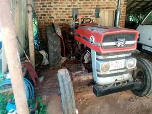 Massey-Ferguson 135 2026 Tractor (Used)