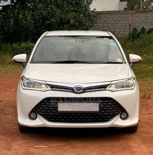 Toyota Axio WXB 2016 Car (Used)