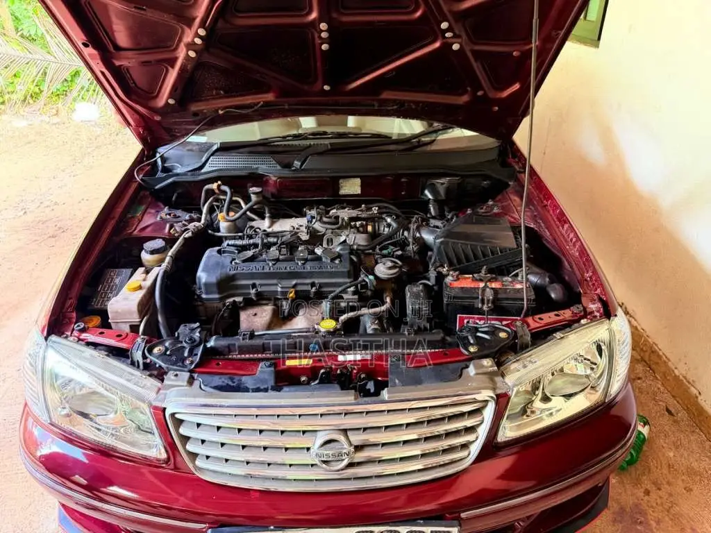 Nissan N16 Sunny Super Saloon 2001 Car (Used)
