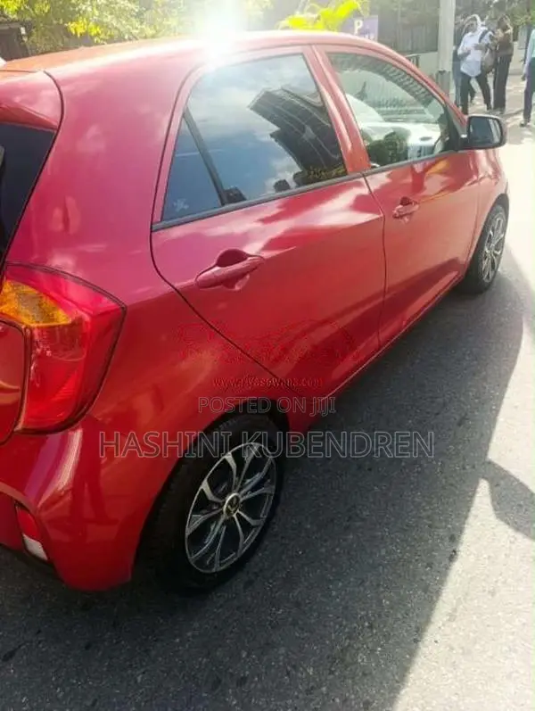 Kia Picanto 2016 Car (Used)