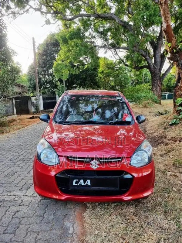 Suzuki Alto 2014 Car (Used)