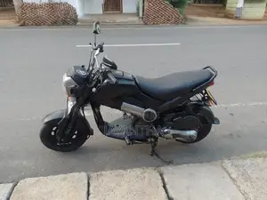 Honda Navi 2019