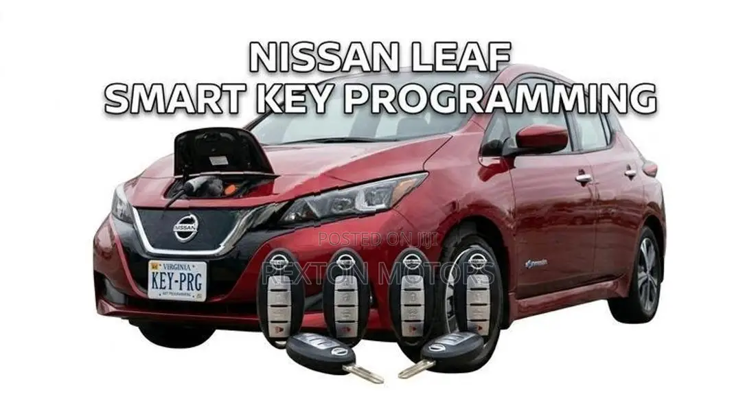 Nissan leaf smartkey