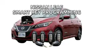 Nissan leaf smartkey