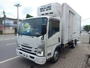 Isuzu Elf 2022