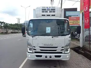 Isuzu Elf 2022