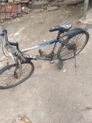 Mountain Bicycle