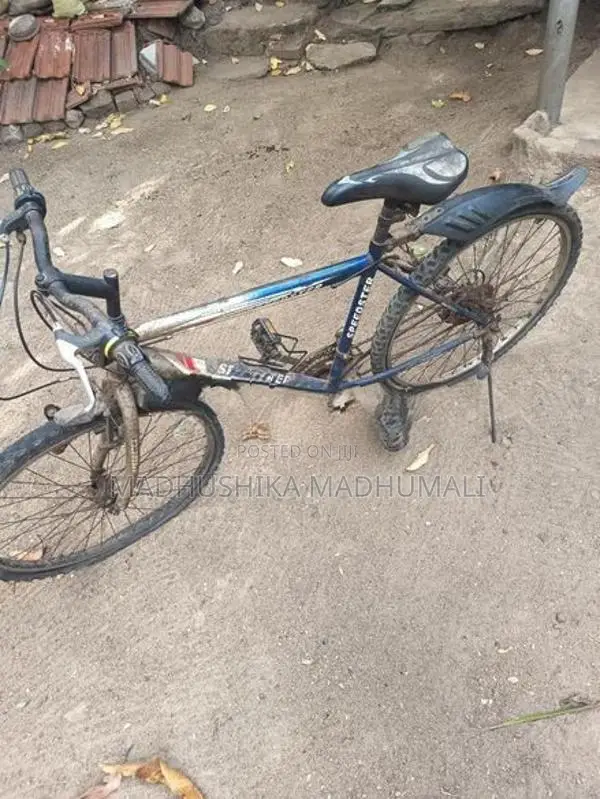 Mountain Bicycle