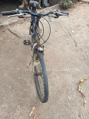 Mountain Bicycle