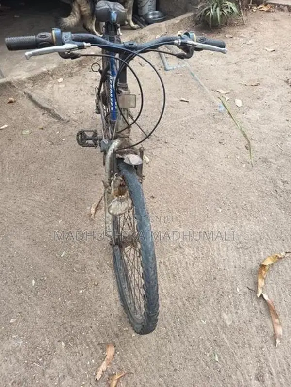 Mountain Bicycle