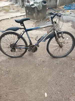 Mountain Bicycle