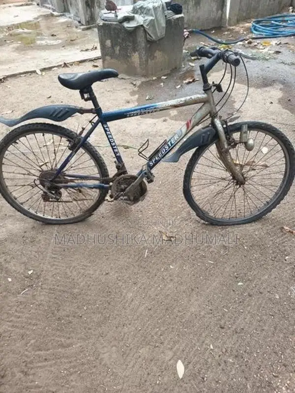 Mountain Bicycle