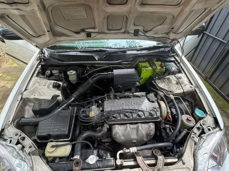 Honda Civic 1999