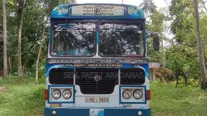 Ashok Leyland Turbo 2010