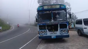 Ashok Leyland Turbo 2010