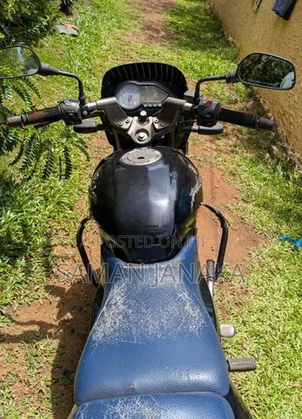 Bajaj Pulsar 150 2010
