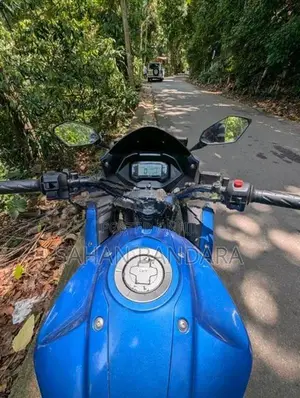 Suzuki Gixxer 150 2017